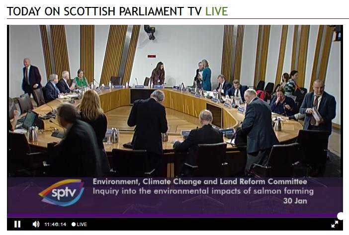 SP TV 30 Jan 2018 Crowd change of witnesses SP TV 30 Jan 2018 Crowd change of witnesses