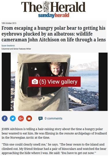 SP John Aitchison polar bear SP John Aitchison polar bear