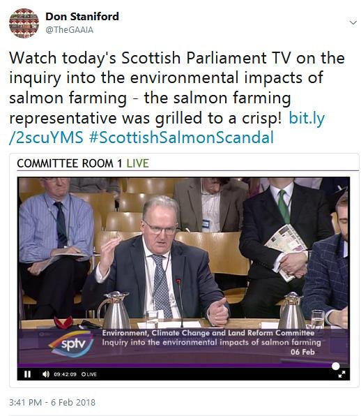 Tweet SP #2 Watch TV