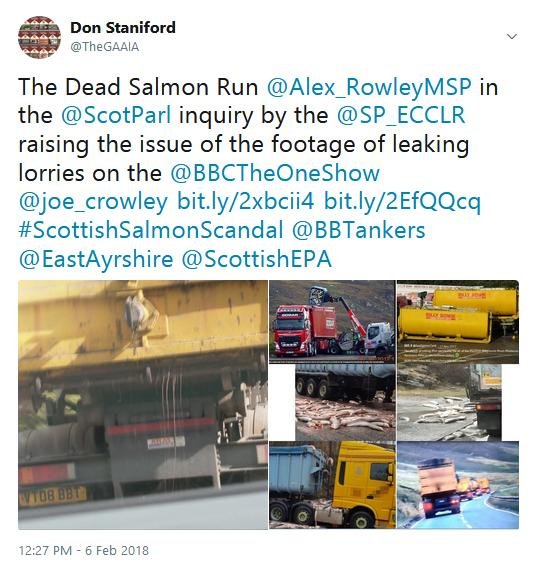 Tweet SP #4 BBC Tweet SP #4 BBC