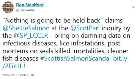 Tweet SP #14 nothing held back