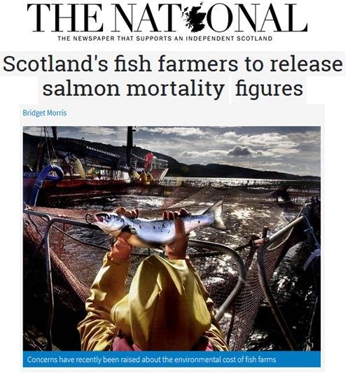 The National 7 Feb 2018 #1