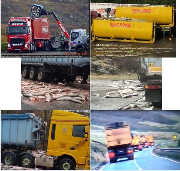 Photo gallery #1 Photo gallery #1