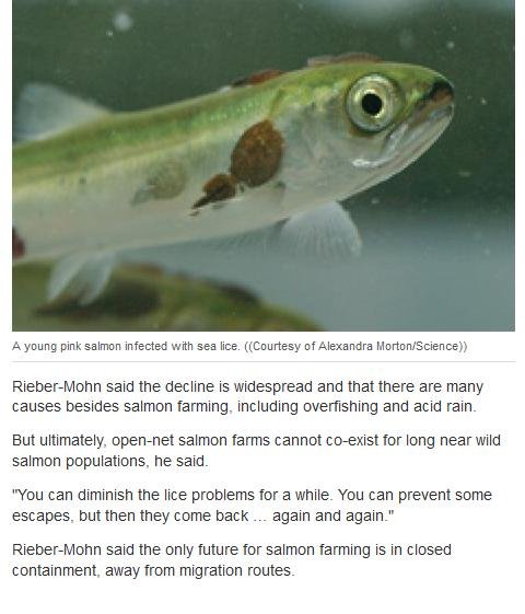 Olympic blog #11 cbc Olympic blog #11 cbc