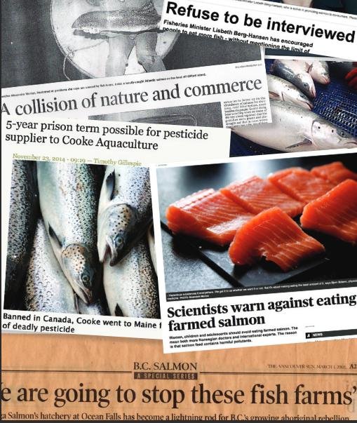 Olympic blog #24 Olympic blog #24