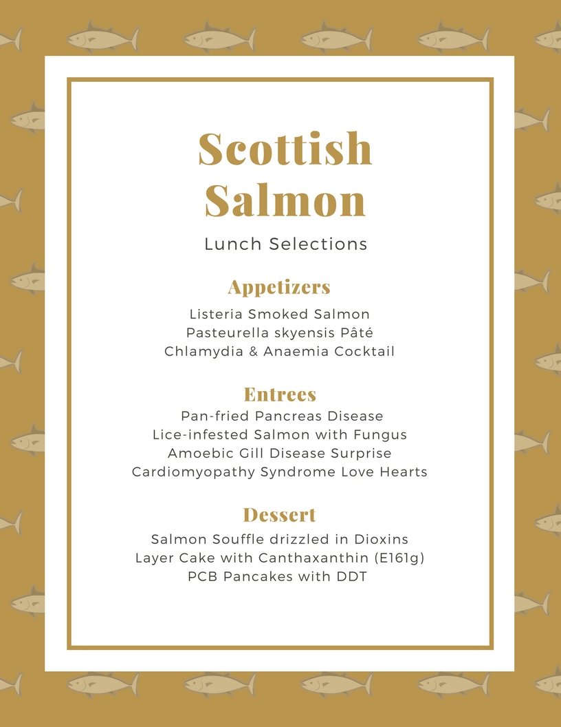 Menu #3 The Off Menu Menu #3 The Off Menu