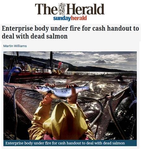 Herald 3 April 2018 #1 Herald 3 April 2018 #1