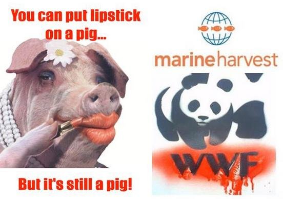 Lipstick MH WWF Lipstick MH WWF