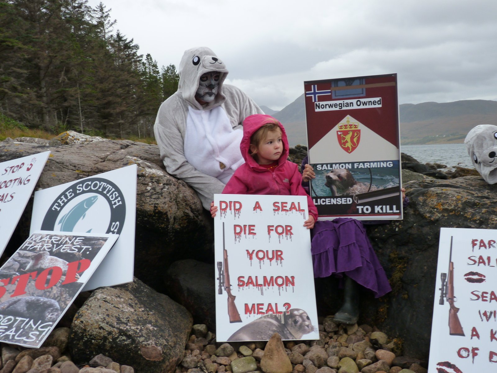 Photo #4 Group shot with Elsie Photo #4 Group shot with Elsie