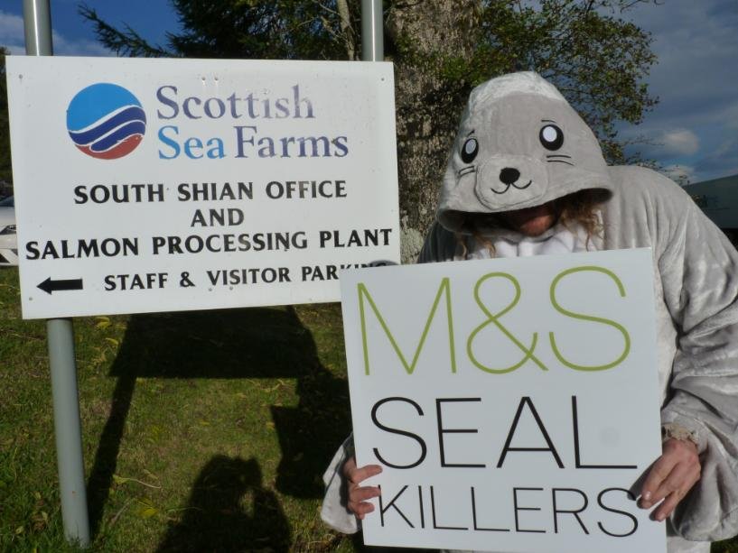 Photo #6 M&S Seal Killers outside SSF head office Photo #6 M&S Seal Killers outside SSF head office