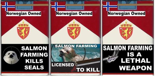 3 pack seals 3 pack seals