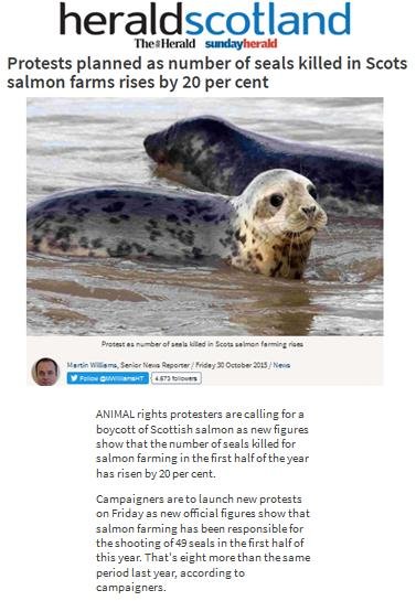 Herald 30 Oct 2015 headline Herald 30 Oct 2015 headline