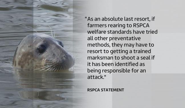 RSPCA last resort on ITV RSPCA last resort on ITV