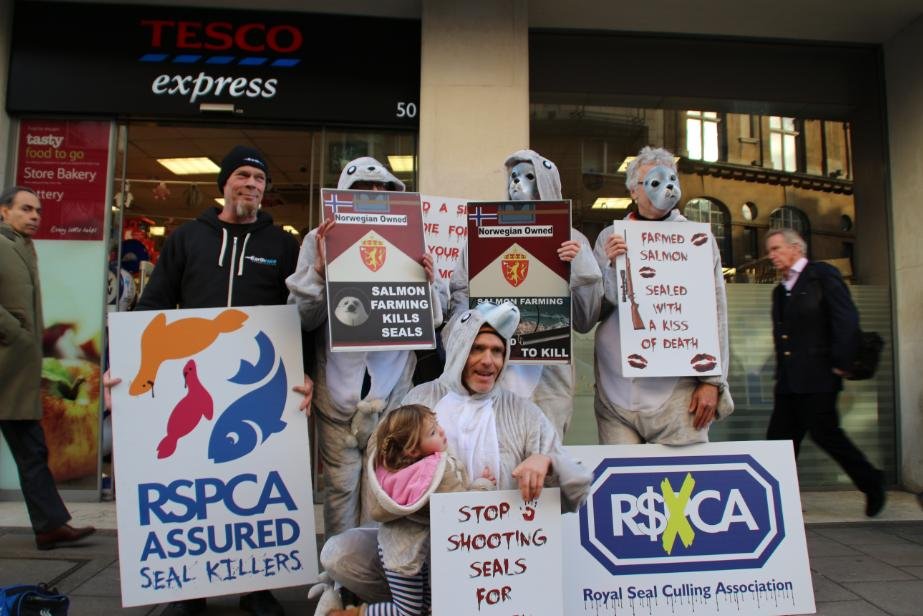 Money shot #1 bb Money shot #1 bb