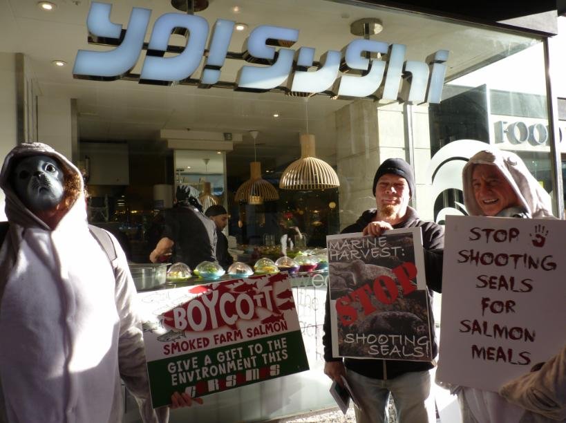 Money shot #1 j Money shot #1 j