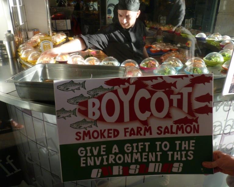 Money shot #1 h Money shot #1 h