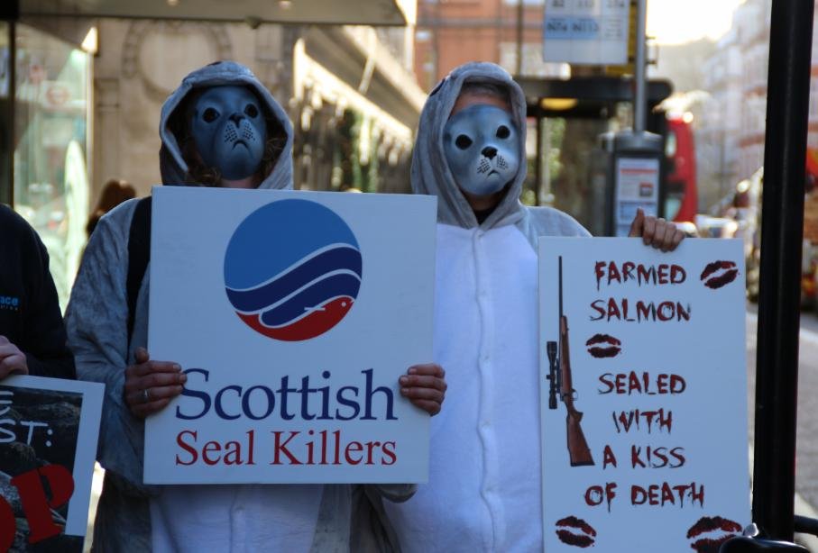 Money shot #6 Money shot #6