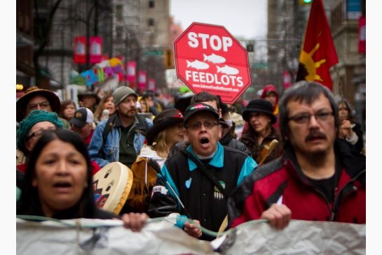 Royal blog #17 eddie stop Royal blog #17 eddie stop