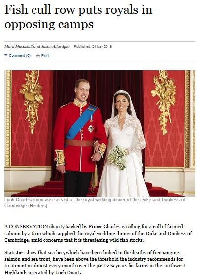 Royal blog #2 ST Royal blog #2 ST