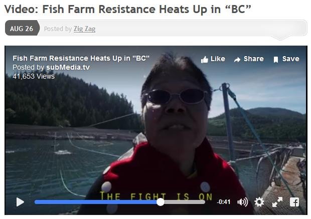 Resistance video fight