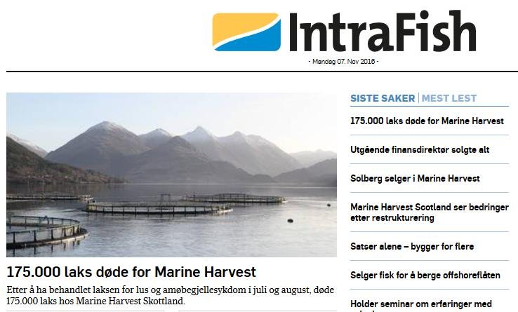 Intrafish top story 7 Nov 2016 Intrafish top story 7 Nov 2016