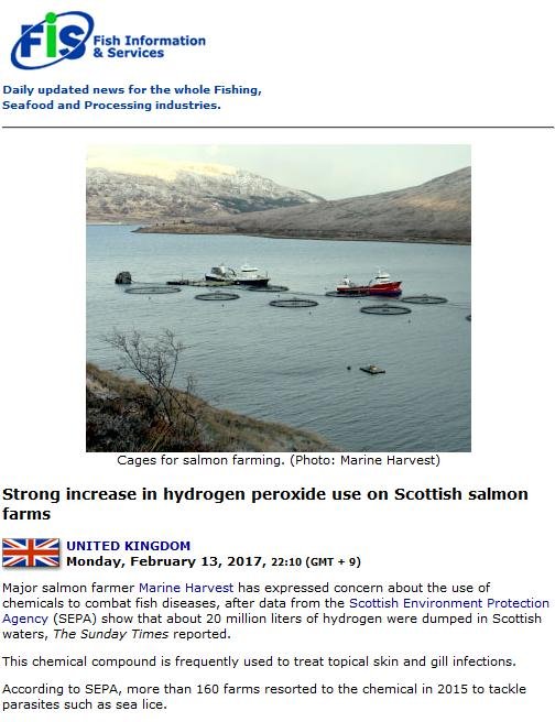 FIS 13 February 2017 #1 FIS 13 February 2017 #1