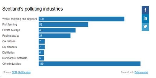 Ferret table Ferret table