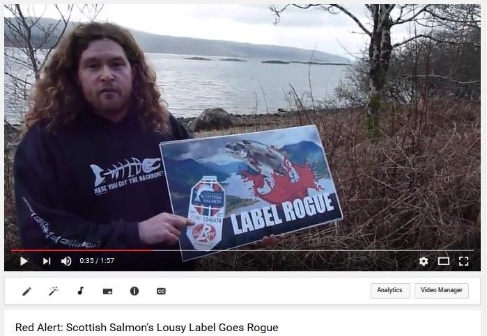 Video #1 LR Loch Fyne Video #1 LR Loch Fyne
