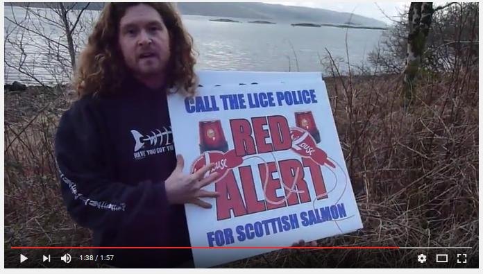 Video #1 LR Lice Police Video #1 LR Lice Police