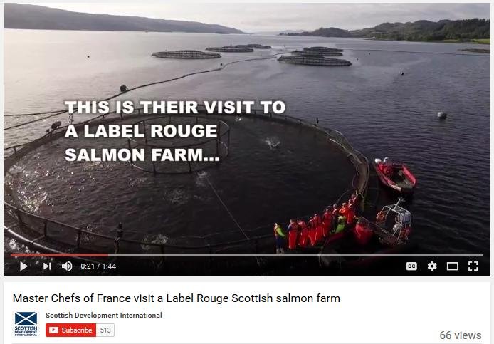 Video #1 Master Chefs video Video #1 Master Chefs video