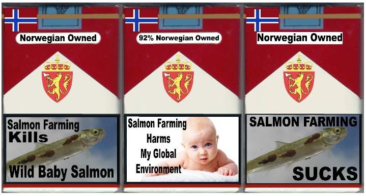 3 pack baby wild salmon 3 pack baby wild salmon