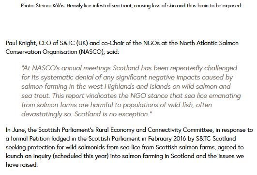 NINA report Jan 2018 #2 STC #2 NINA report Jan 2018 #2 STC #2