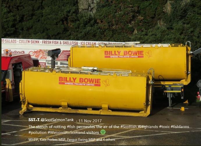 Billy Bowie bin Billy Bowie bin