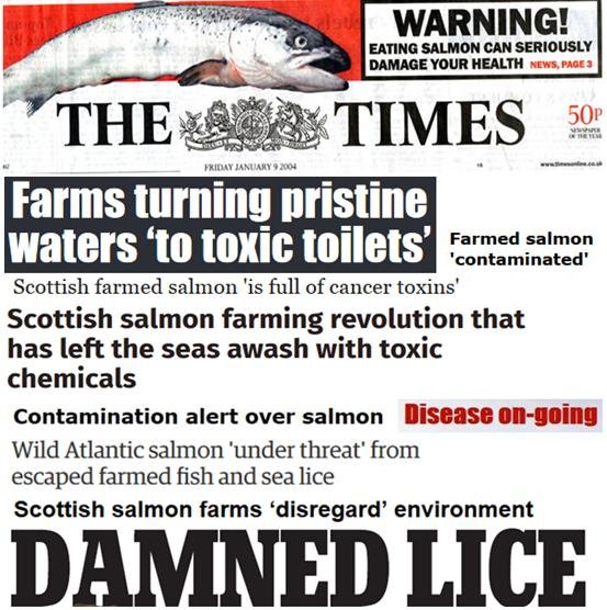 25 Years of Scottish Salmon Shame #1 collage 25 Years of Scottish Salmon Shame #1 collage