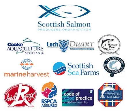 SSPO logos SSPO logos