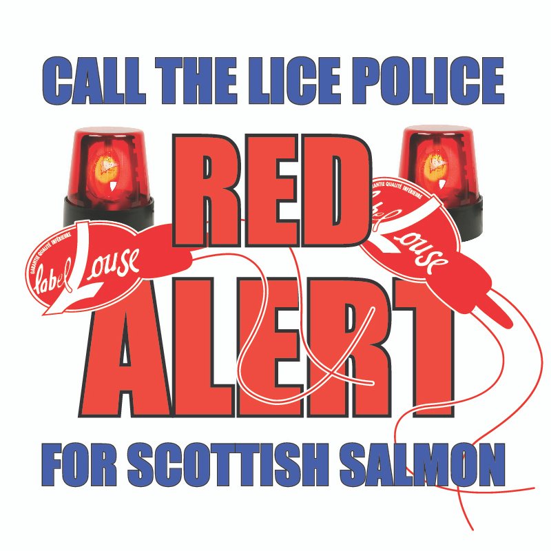 #16 Call the Lice Police Red Alert #16 Call the Lice Police Red Alert