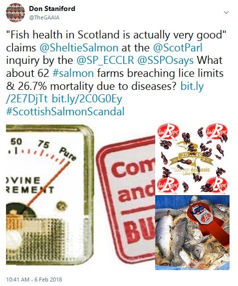 Tweet SP #( BS fish health