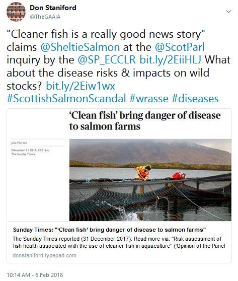 Tweet SP #12 cleaner fish