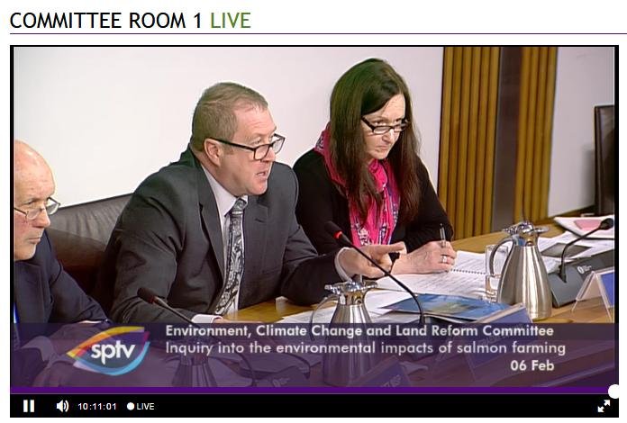 SP TV 6 Feb 2018 convenor wagging finger again on wrasse cleaner fish SP TV 6 Feb 2018 convenor wagging finger again on wrasse cleaner fish