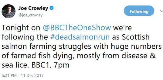 Tweet Joe Crowley Tweet Joe Crowley