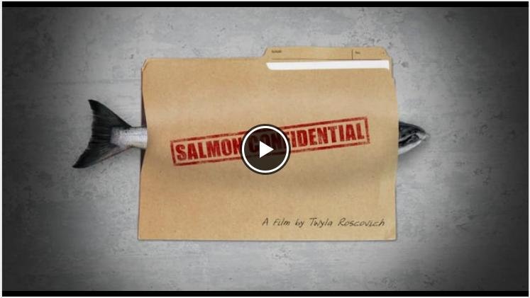 Olympic blog #23 sconfi Olympic blog #23 sconfi