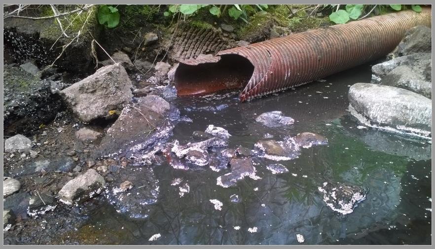 Marybank photo #1 Marybank photo #1