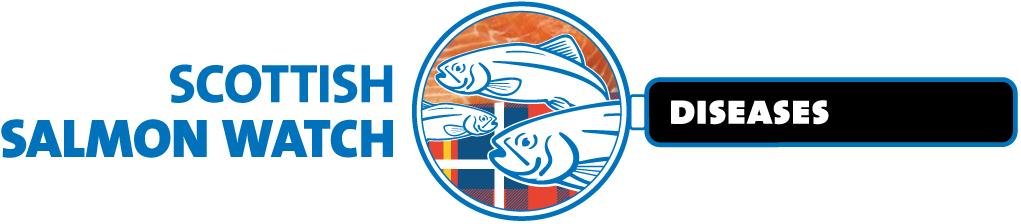 Diseases in black small res Diseases in black small res