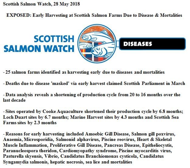Fast Tracked Scottish Salmon May 28 2018 Press Release #1