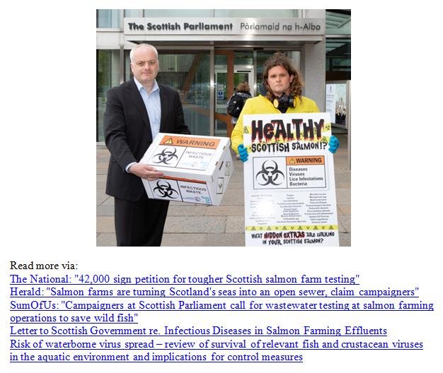 Fast Tracked Scottish Salmon May 28 2018 Press Release #8