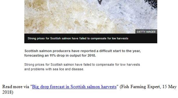 PR Paxo Stuffs Scottish Salmon 21 May 2018 #9 PR Paxo Stuffs Scottish Salmon 21 May 2018 #9