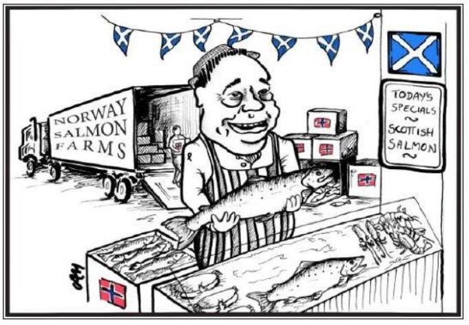 Salmond selling Norwegian salmon out of back of truck