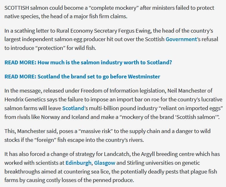 The National 31 May 2018 #2 The National 31 May 2018 #2