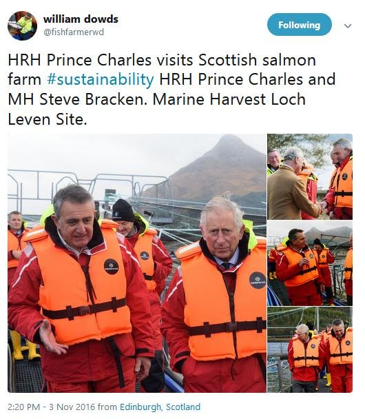 Prince Charles Tweet by Dowds