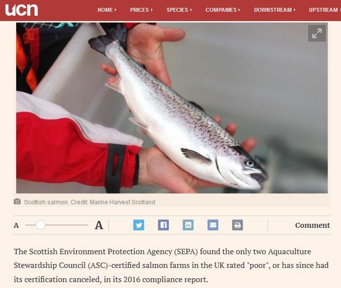 Undercurrent News 27 July 2018 #2